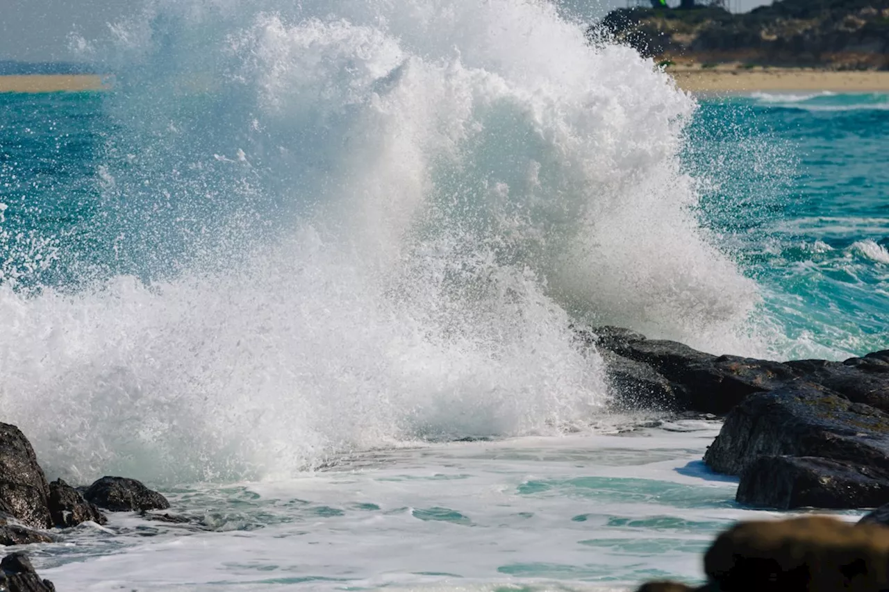 BEYOND LOCAL: New research sheds lights on the huge carbon store in Canada’s seabed