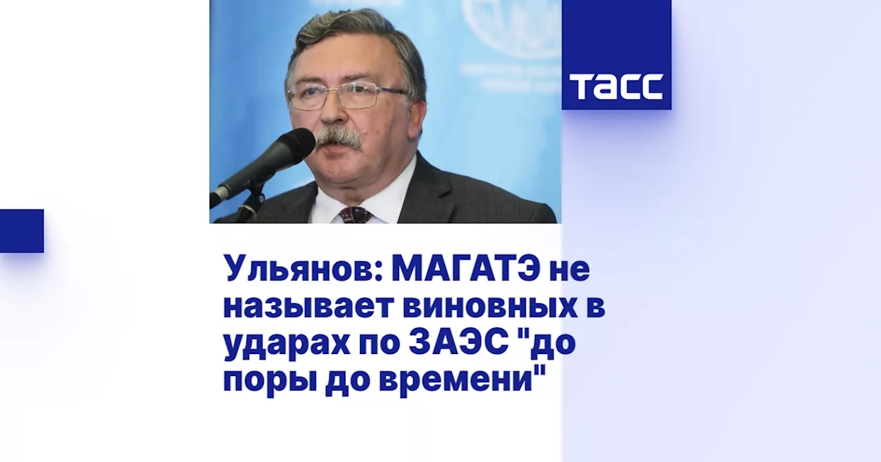 Ульянов: МАГАТЭ не называет виновных в ударах по ЗАЭС 'до поры до времени'