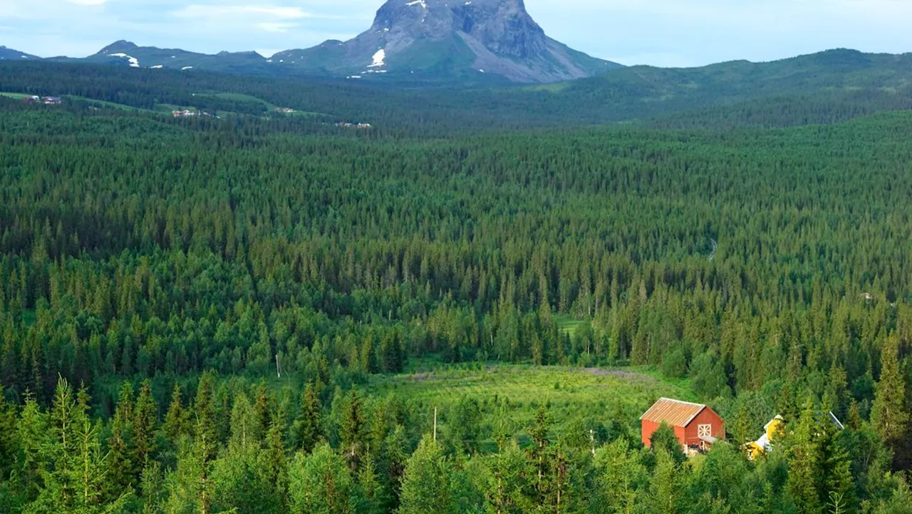 Jord i nord er verdens beste CO2-lager