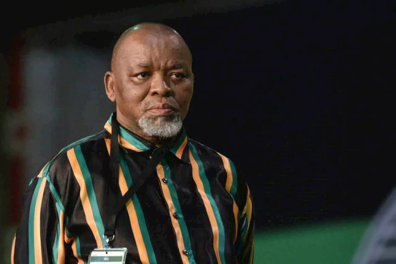 NPA refutes speculations about Gwede Mantashe arrest