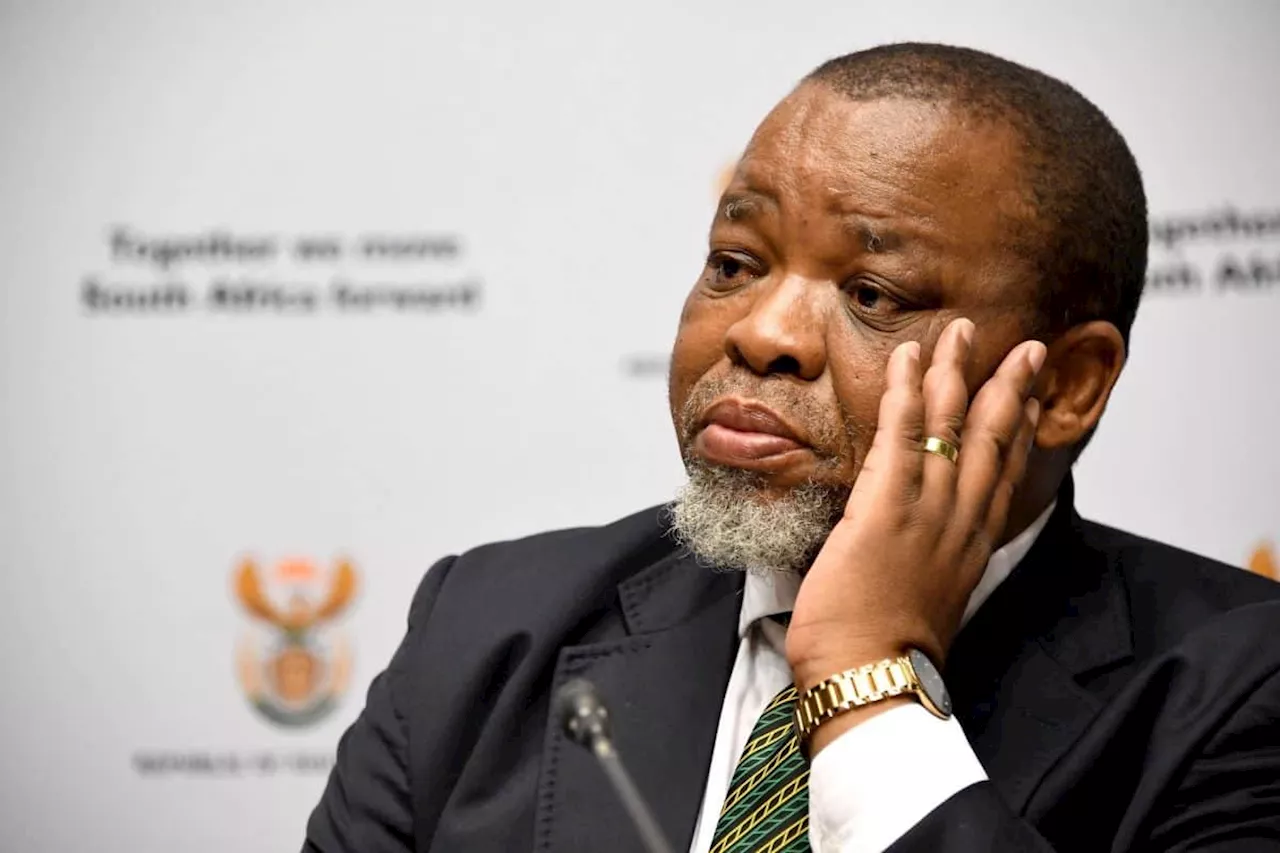 NPA dismisses claims of Gwede Mantashe’s ‘imminent arrest’