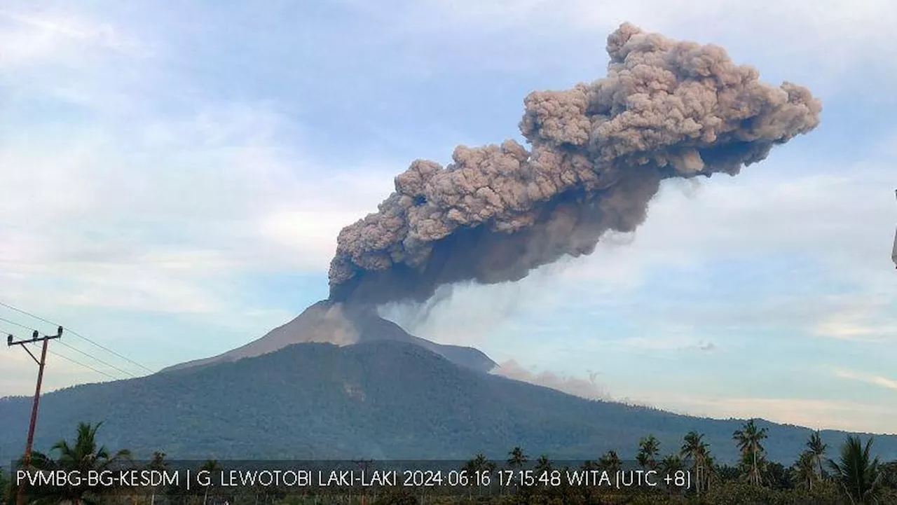 Dua lapangan terbang terjejas akibat abu gunung berapi Lewotobi