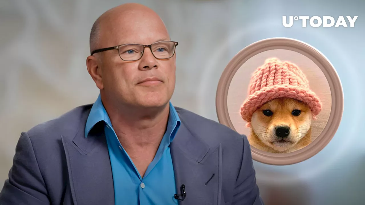 Mike Novogratz Makes Surprising Dogwifhat (WIF) Appeal