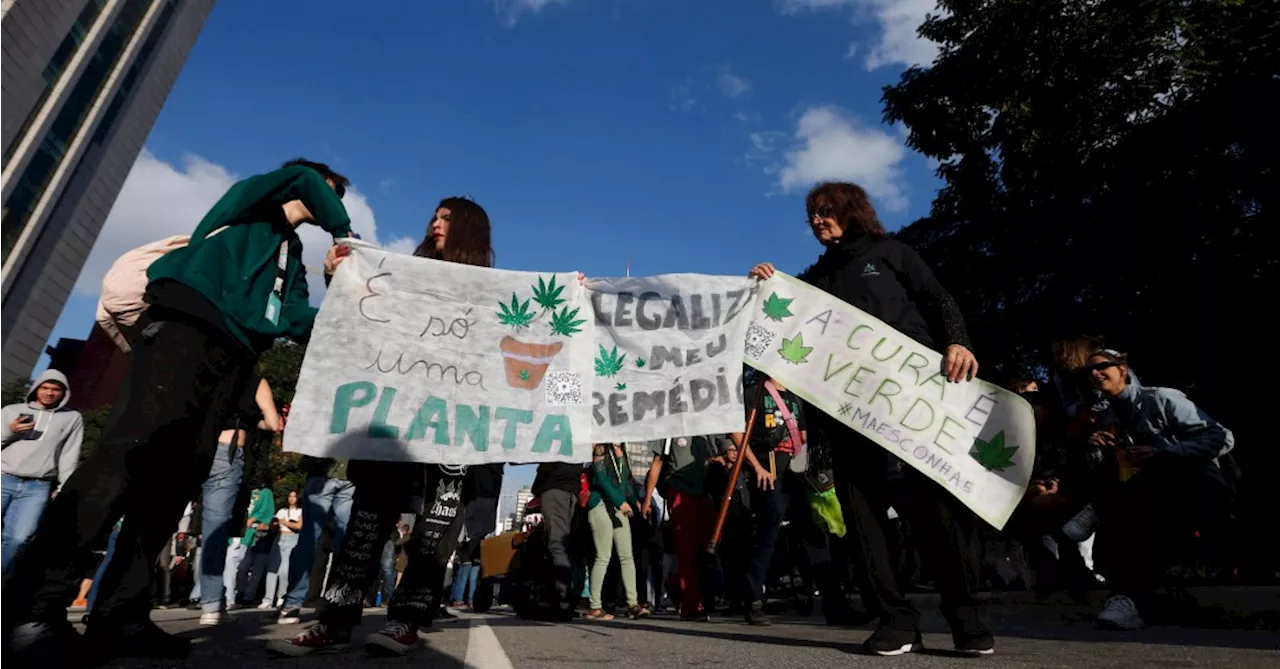 Marcha da Maconha reúne manifestantes pela legalização em São Paulo