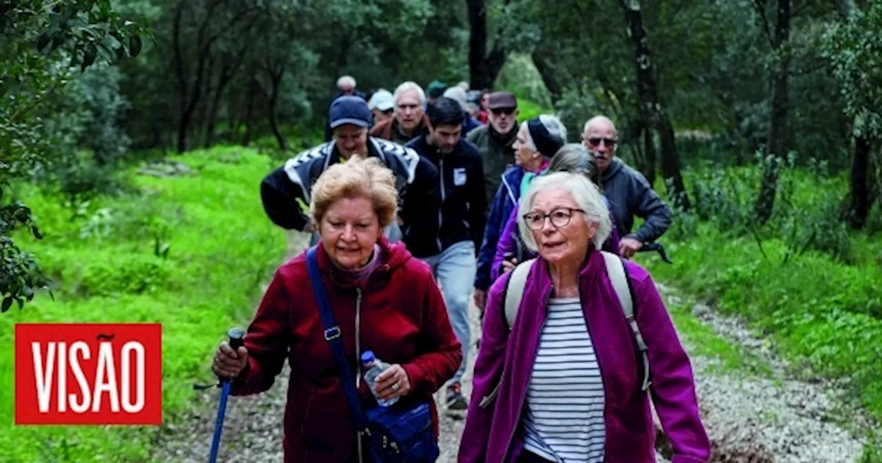 Não precisa de ser um maratonista – bastam poucos minutos para alterar o metabolismo