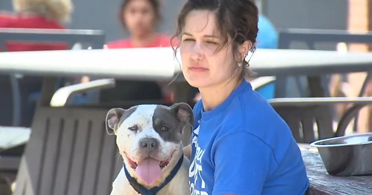 ‘Paws and Pour’ brings adoptable dogs to Irvington coffee shop