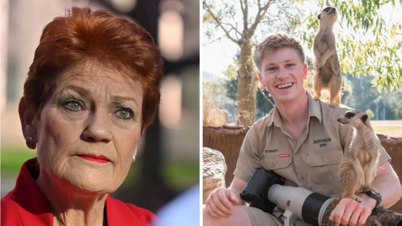 Pauline Hanson’s lawyers slam Robert Irwin’s defamation claims over Bluey cartoon parody