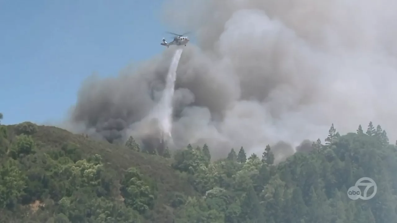 Firefighters battling 1,013-acre Point Fire in Sonoma County; 15% contained, CAL FIRE says