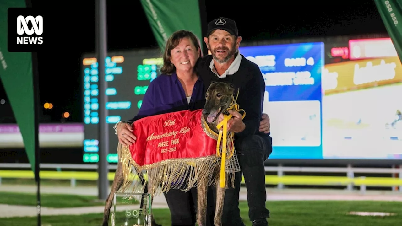 Greyhound trainer Tony Rasmussen handed life ban, fined for ill treatment of greyhounds