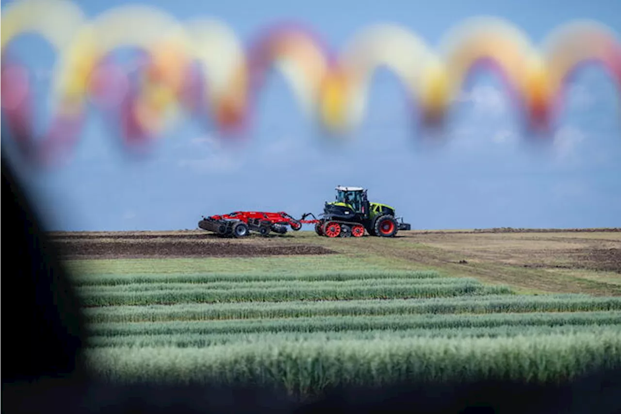 Agricoltori da tutto il mondo a Roma dal 17 al 21 giugno