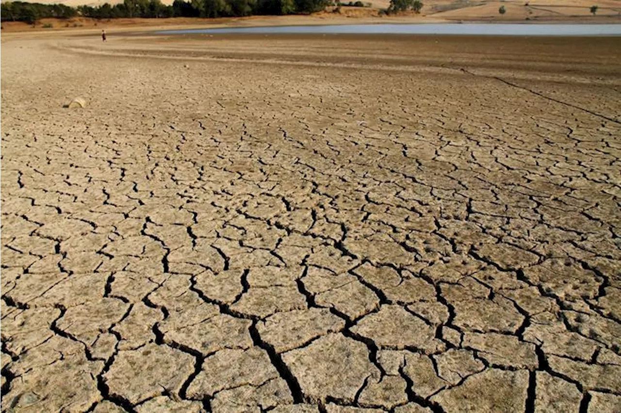 Anbi, 'rischio desertificazione per Sicilia e Puglia'