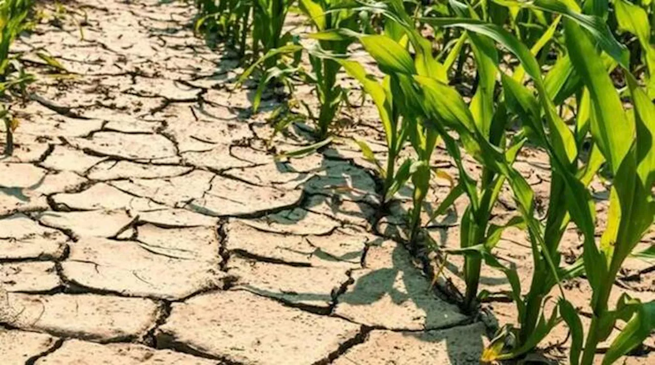 ANSA/Il verde Abruzzo fragile,rischia siccità e desertificazione