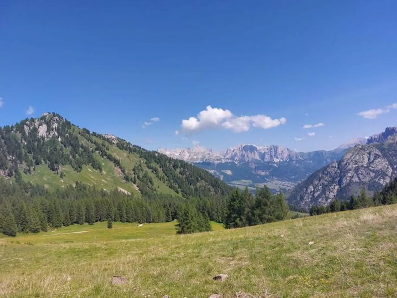 Gava, 'Italia è convintamente contro la legge Ue sulla natura'