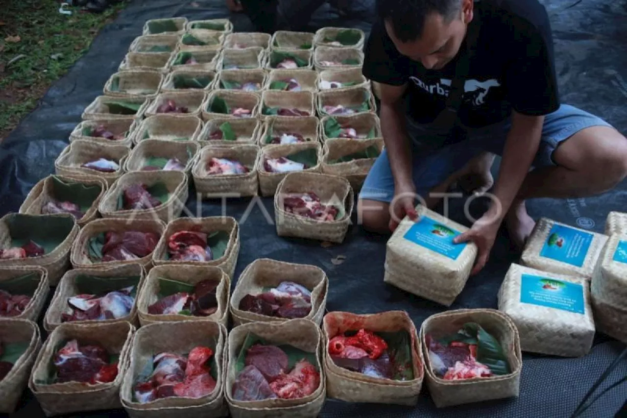 Periset BRIN berbagi cara menangani daging kurban