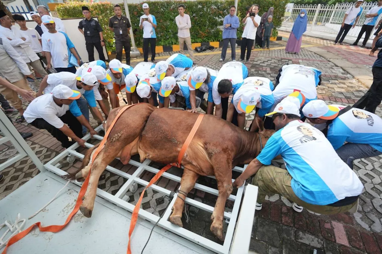 PGN bagikan 382 hewan kurban di sekitar wilayah operasional perusahaan