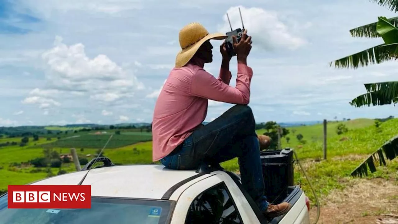 As novas profissões do agro que estão mudando o Centro-Oeste