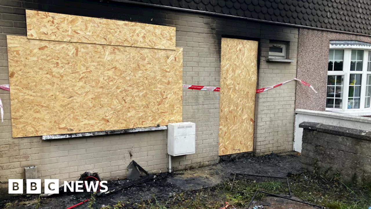 Derry: Man arrested after three dogs die in arson attack