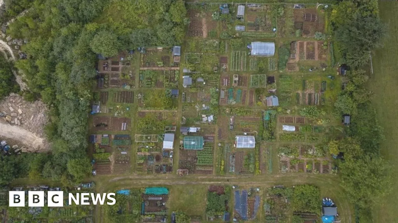 Campaign to save 130-year-old Combe Down allotments in Bath