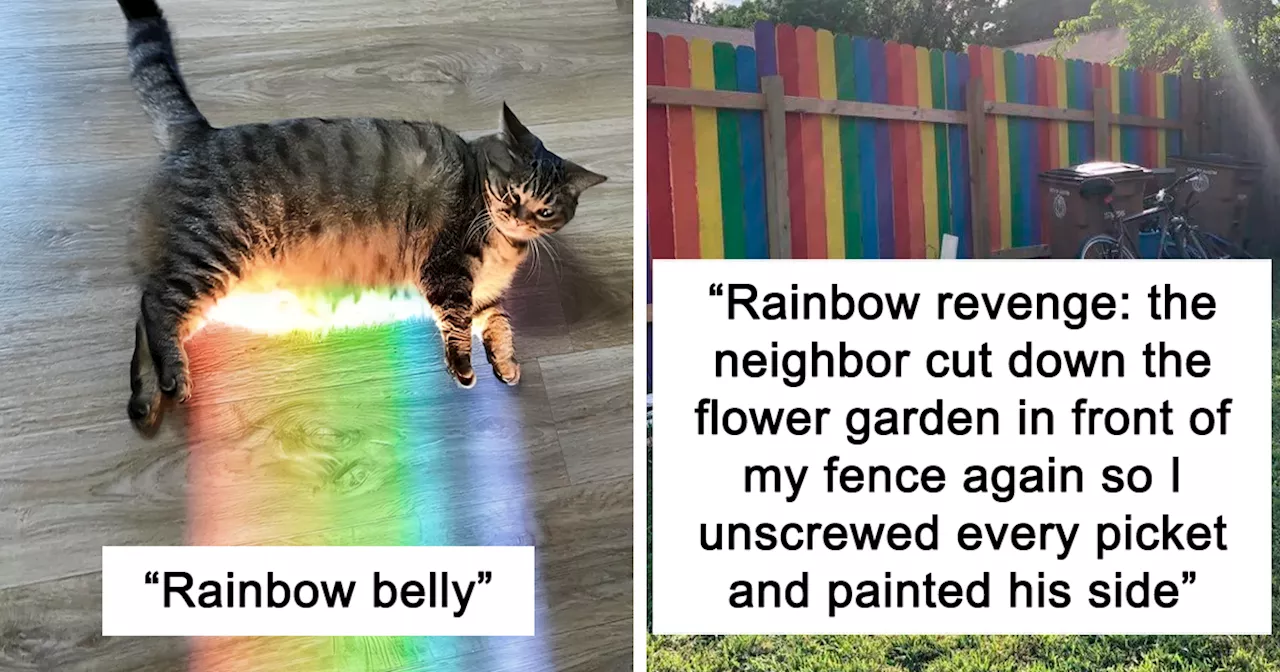 50 Amazing “Rainbow Everything” Pics Right In Time To Celebrate Pride Month