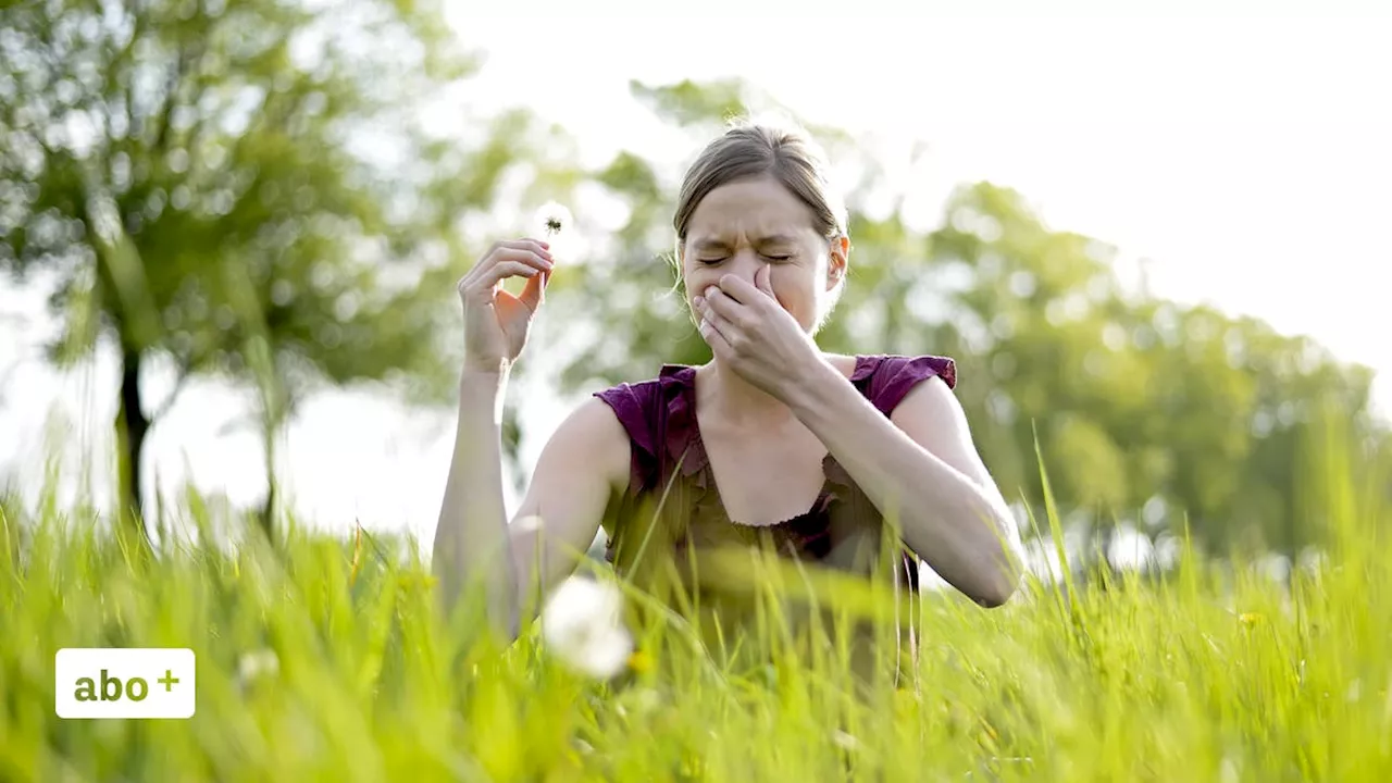 Pollen verursachen bei Allergikern nicht nur Heuschnupfen, sondern höheren Blutdruck