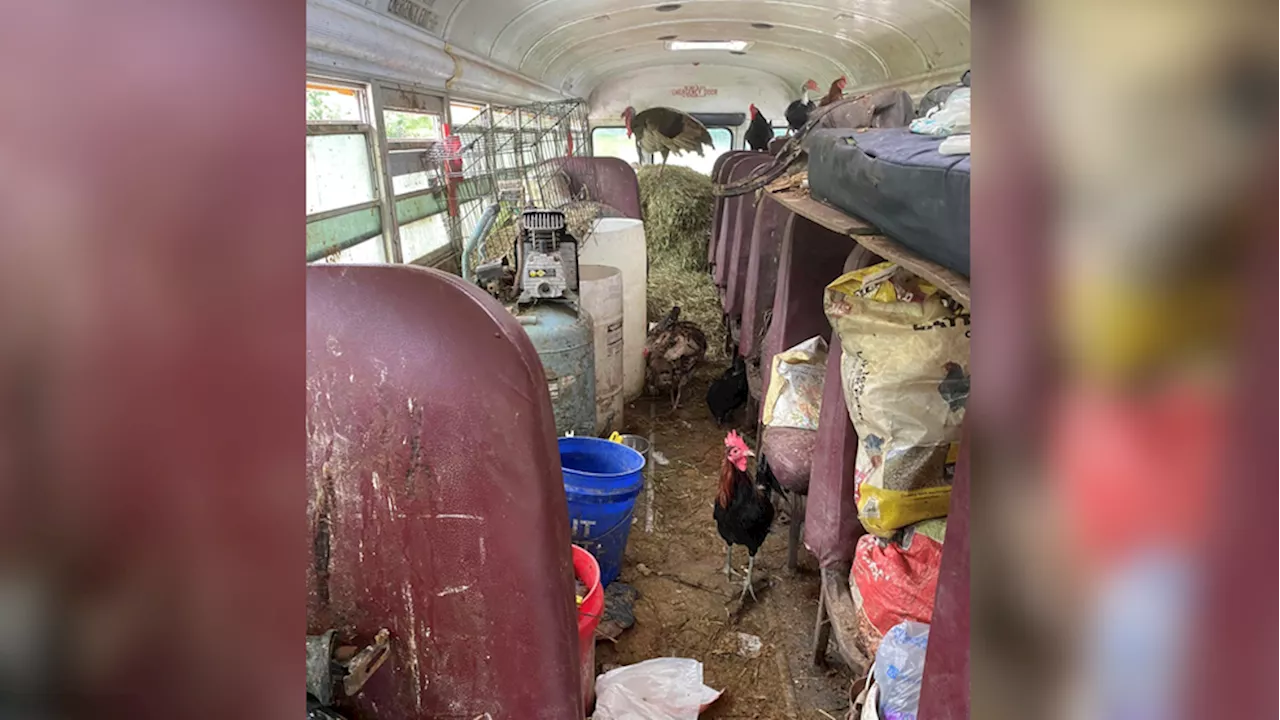 Bus in Adams Co. found carrying animals used for alleged bestiality; driver arrested