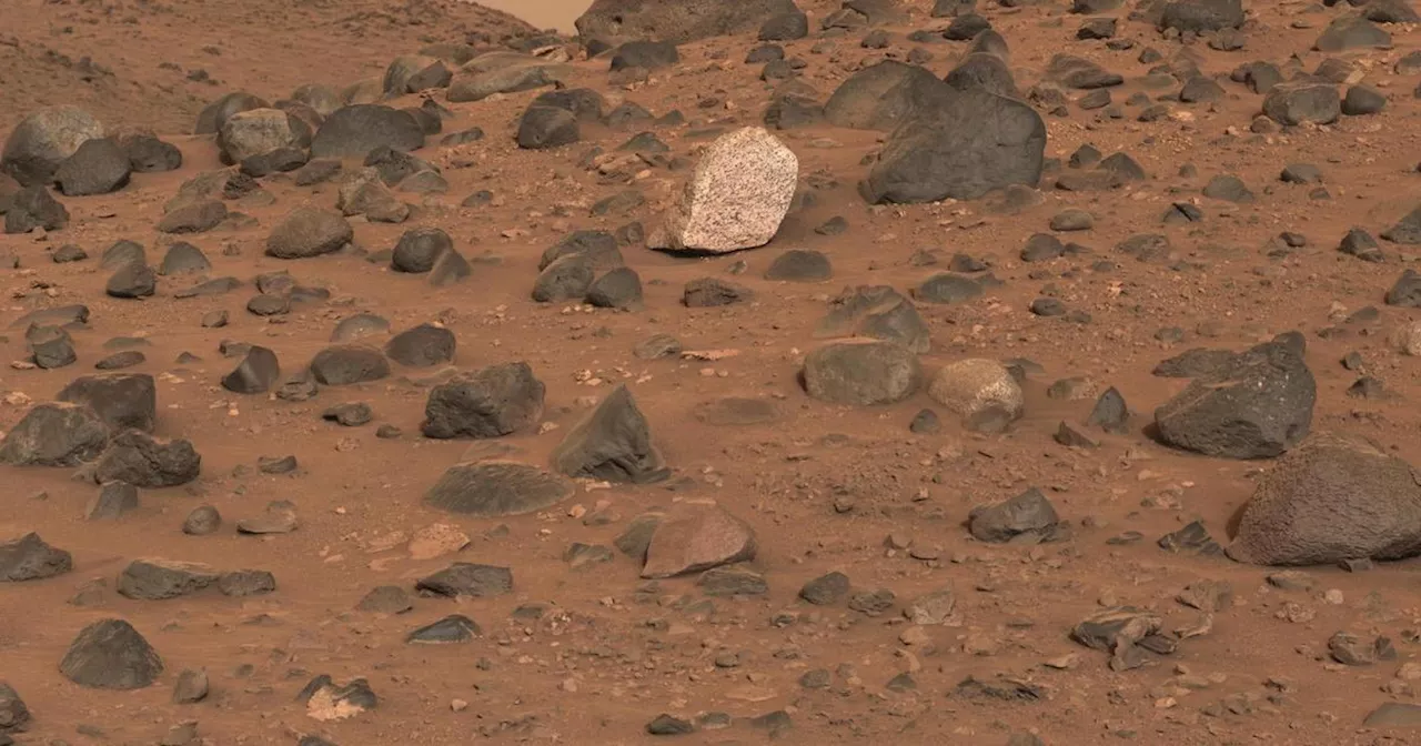 NASA rover discovers mysterious light-toned boulder 'never observed before' on Mars