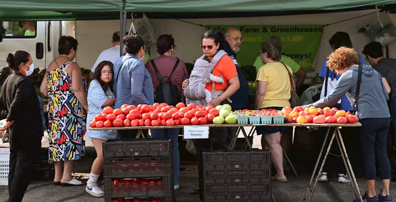 Buffalo Grove farmers market opens with six new vendors and return of some familiar sellers, products