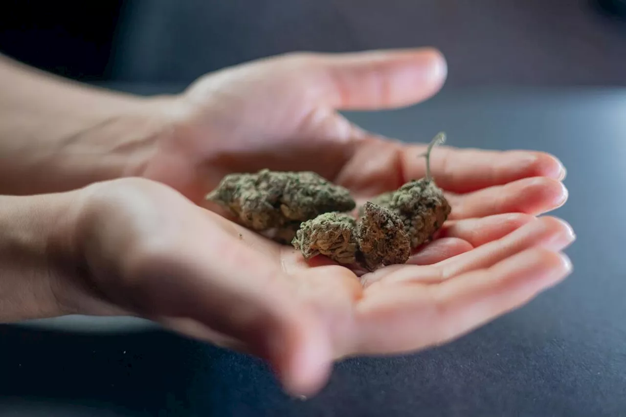 Paris : elle fournit une drogue puissante à un adolescent qui commet un geste fou