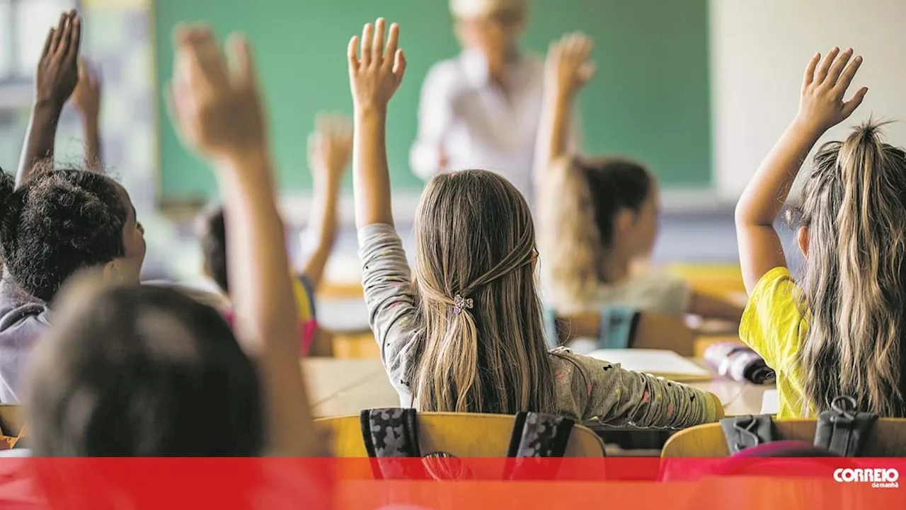 Professores primários estão mais velhos, têm demasiado trabalho e alunos a mais