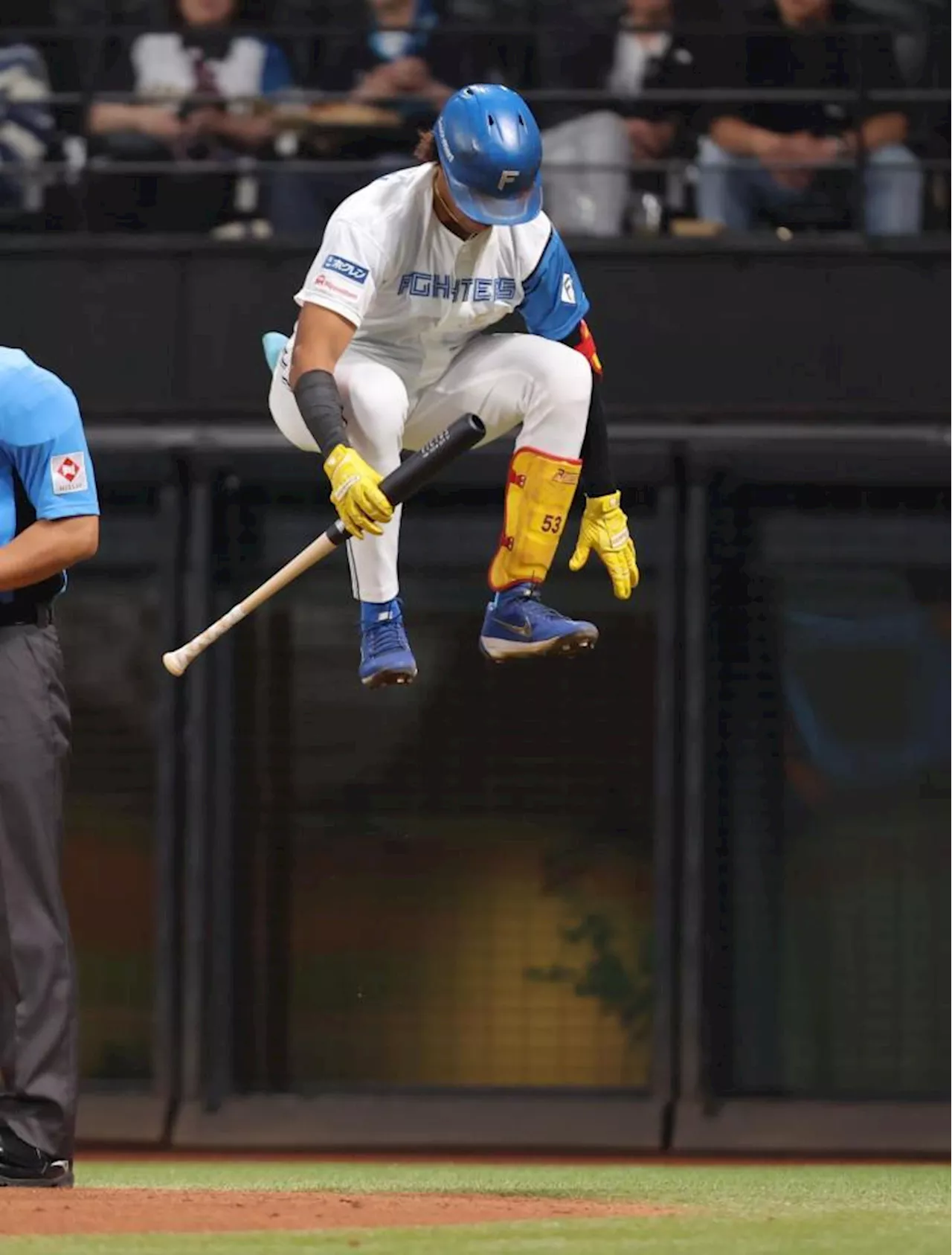 日本ハム・水谷 ブレークきかっけの甲子園は「特別の場所」交流戦史上最高打率へ「結果としてついてくるなら」