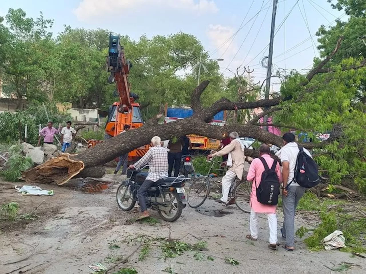 नारनौल में शाम को तेज आंधी के साथ बारिश: शहर में टूटे 50 से ज्यादा पेड़; कई वाहनों नुकसान, बिजली हुई ठप