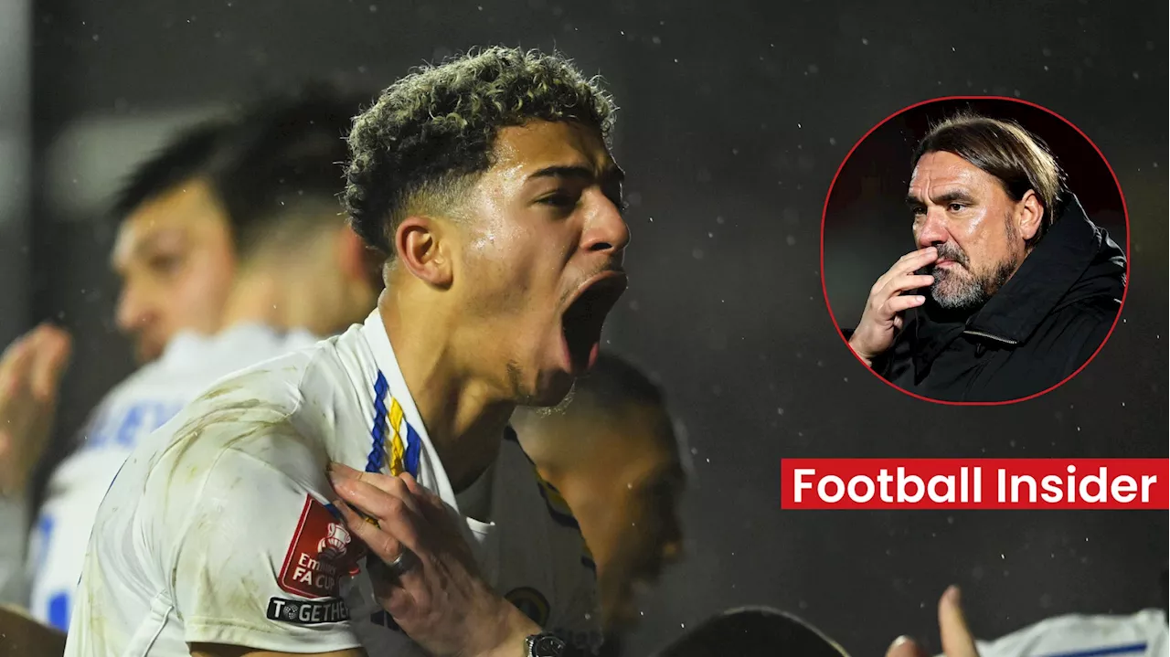 Leeds United fans slam Daniel Farke after Mateo Joseph twist