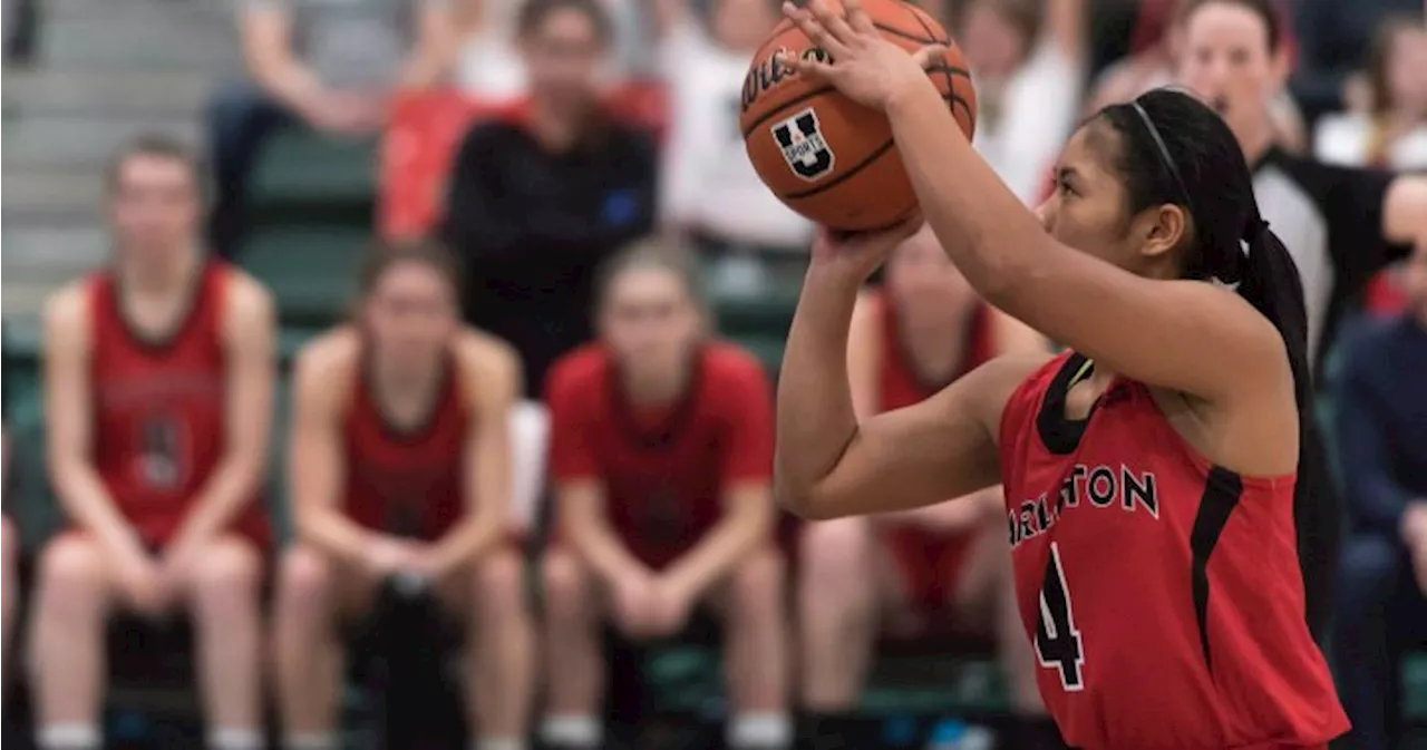 New WNBA team in Canada inspires Saskatchewan athletes