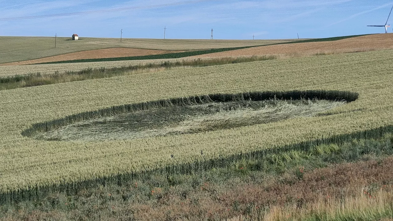 UFO oder Tornado? Mysteriöser Kreis in Feld entdeckt