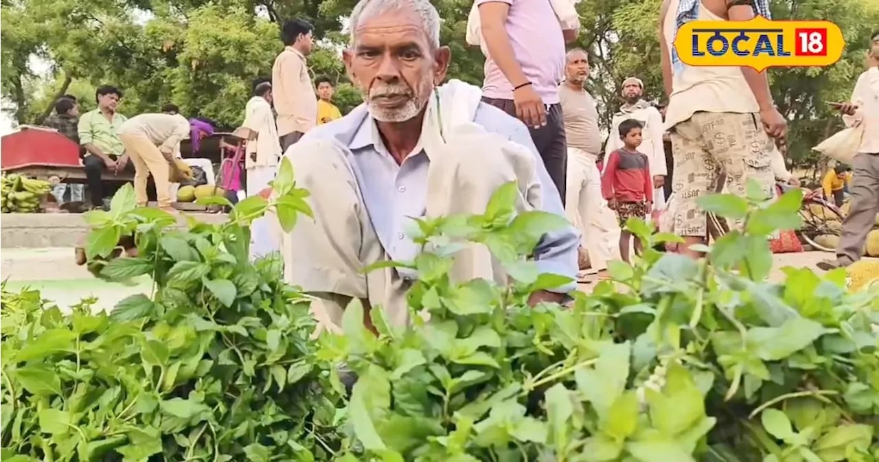 लागत न के बराबर....कमाई छप्परफाड़, कमाल की है यह खेती, किसान बन जाएंगे मालामाल