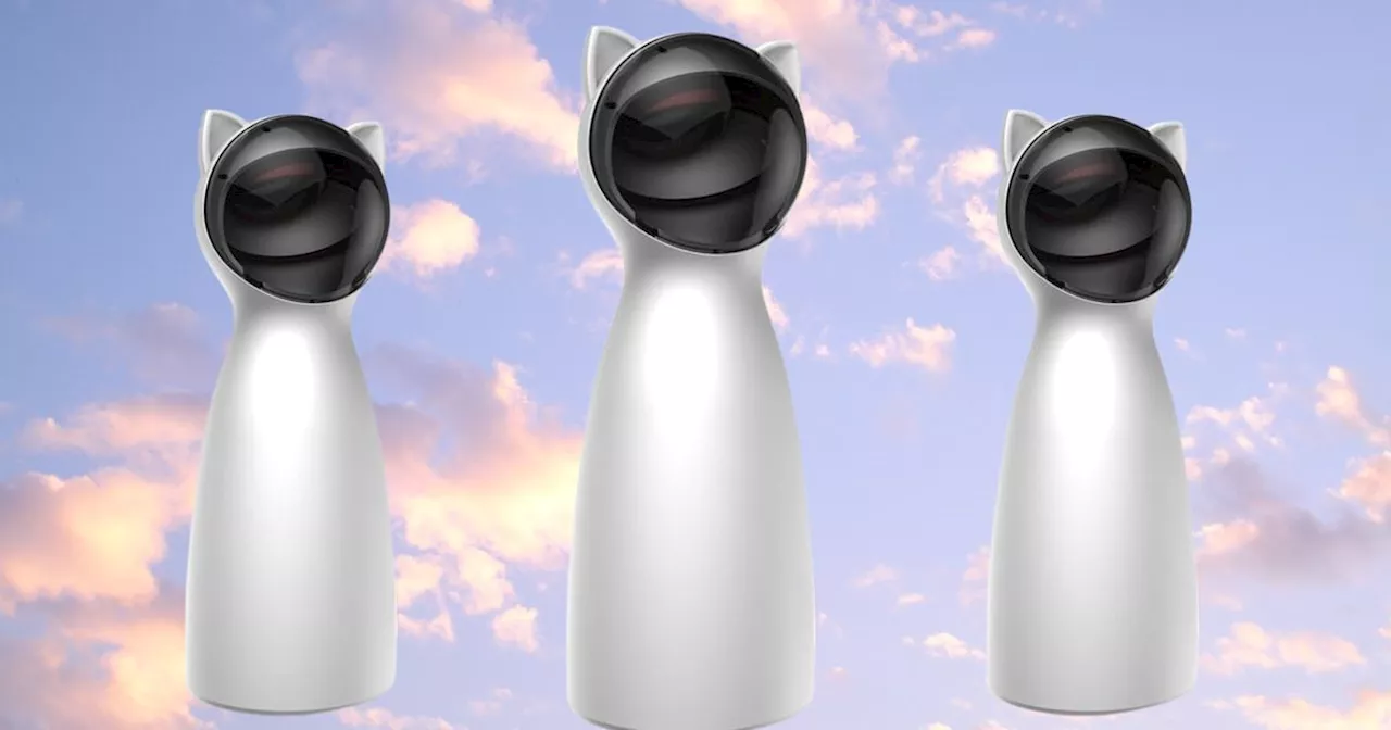 This Hands-Free Laser Cat Toy Is ‘Worth Every Penny’ — And It's Only $20