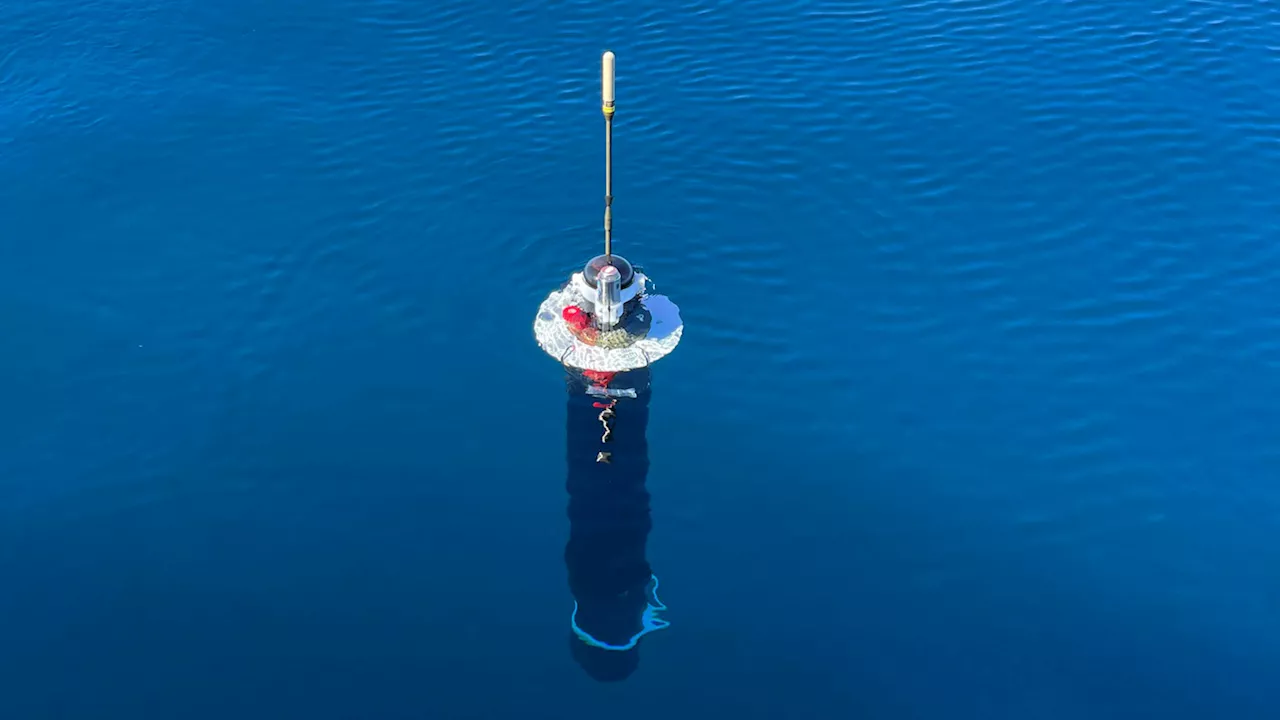 NASA spinoff building self-charging sea robots for limitless exploration
