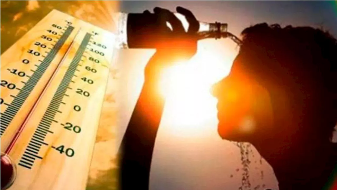 Heat Wave: देश भर में गर्मी का प्रचंड रूप, 73 की मौत; प्रयागराज समेत इन शहरों में पारा 47 डिग्री के पार