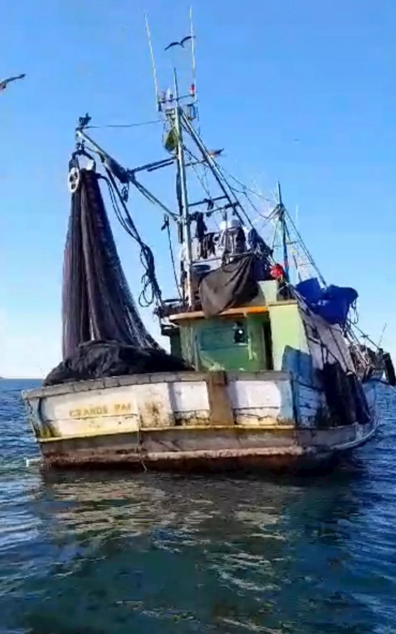 'Perigo para as baleias': pescadores denunciam pesca de arrasto na praia da Barra da Tijuca