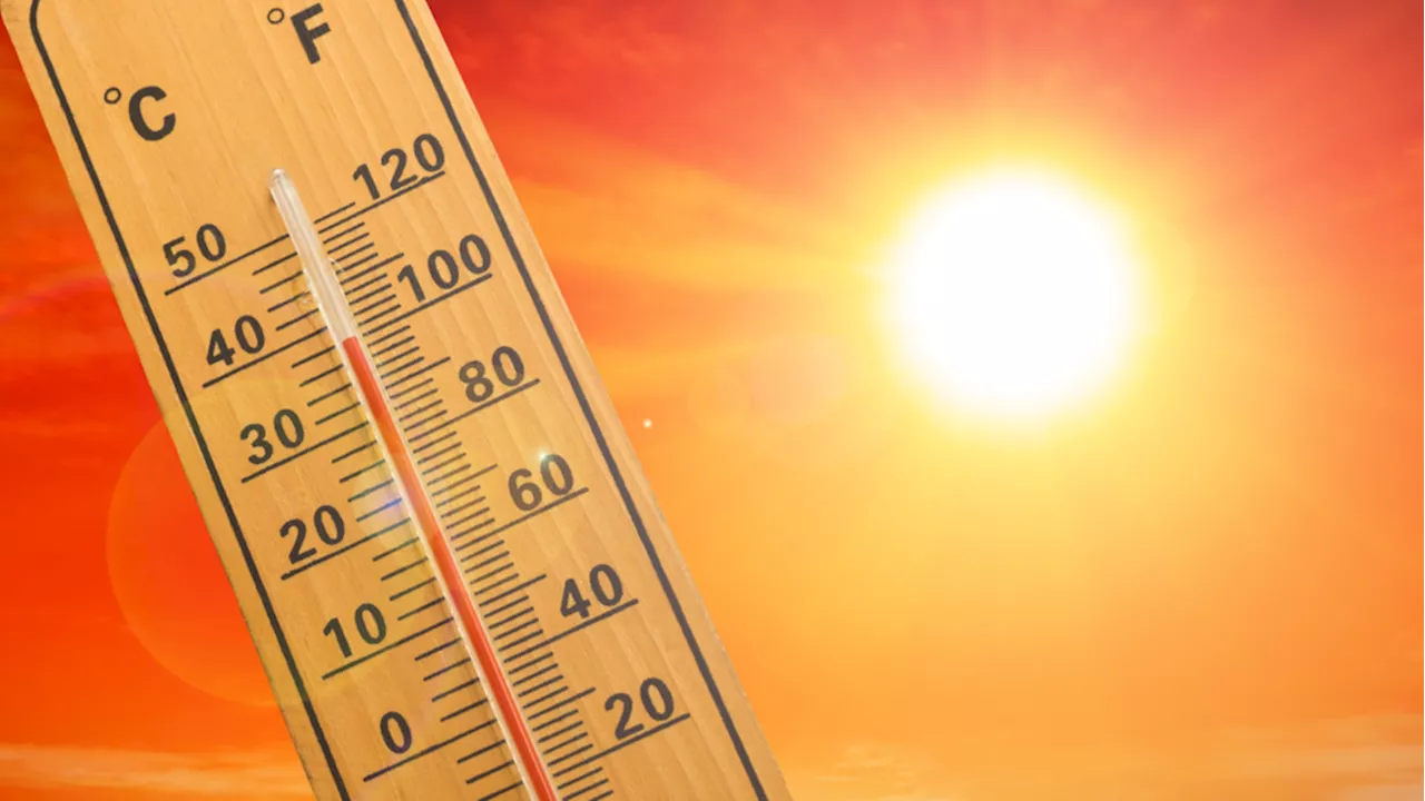 Public health, climate experts call summer heat a crisis as temperatures rise