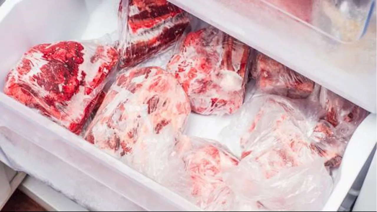 Dosen UGM Bagikan Cara Menyimpan Daging Kurban di Kulkas, Jangan Langsung Masuk Freezer