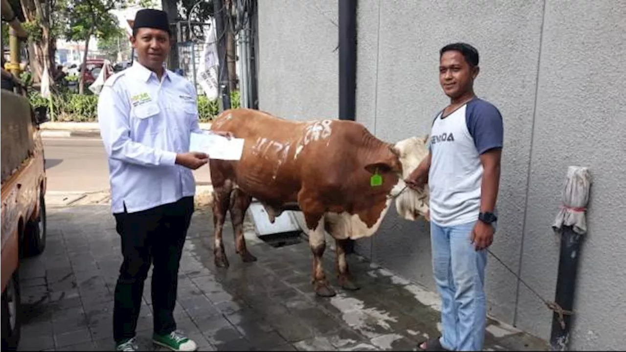 'Semarak Idul Qurban', ICMI Potong 32 Sapi dan 32 Kambing di Hari Raya Kurban