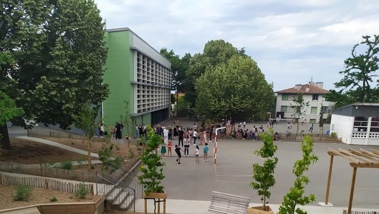 A Toulouse, une oasis dans la cour de récré à l'école Jean Macé