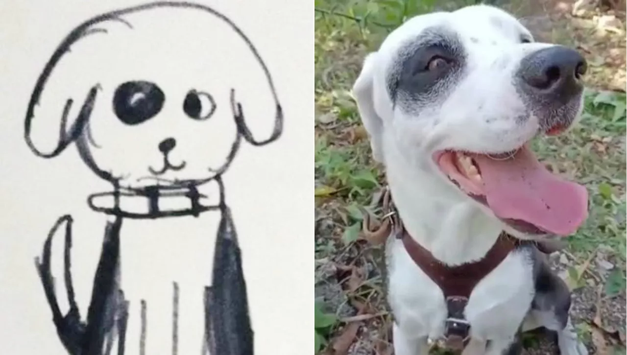 Con un disegno una bambina aiuta la nonna a ritrovare il cane Pirata scappato di casa