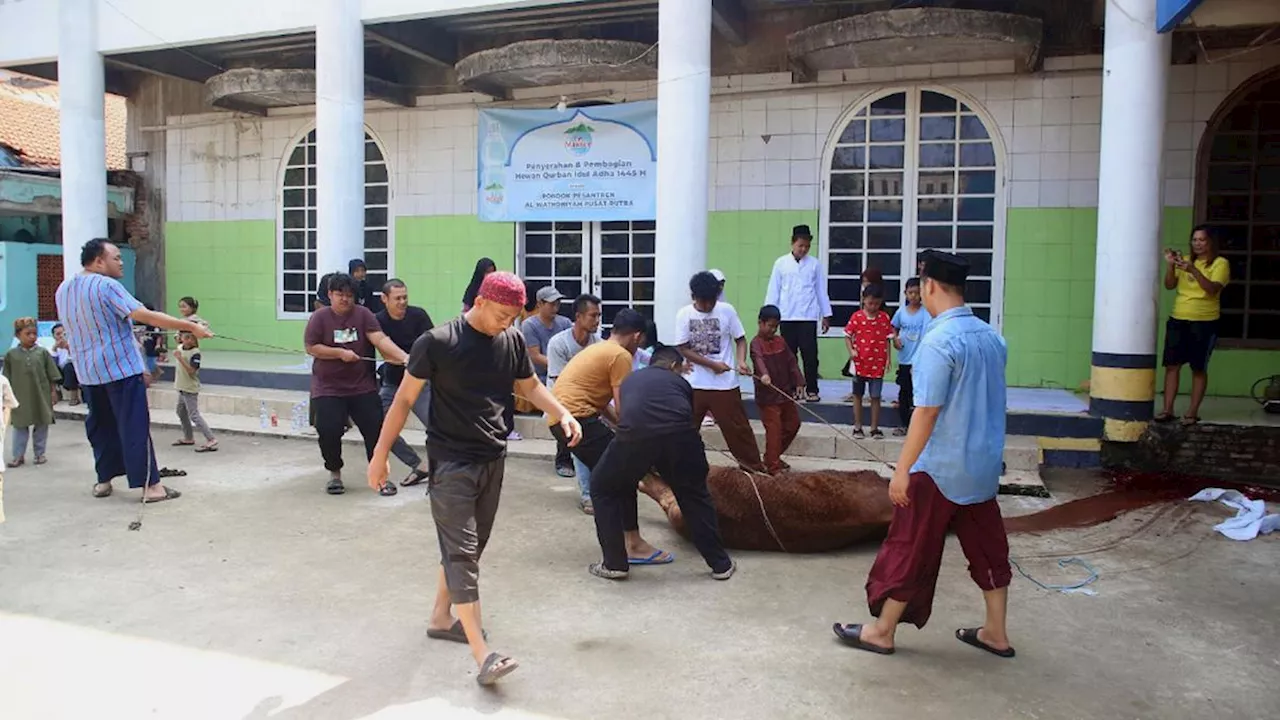 Bolehkah Menyembelih Hewan Kurban di Halaman Masjid, Bagaimana Hukumnya?