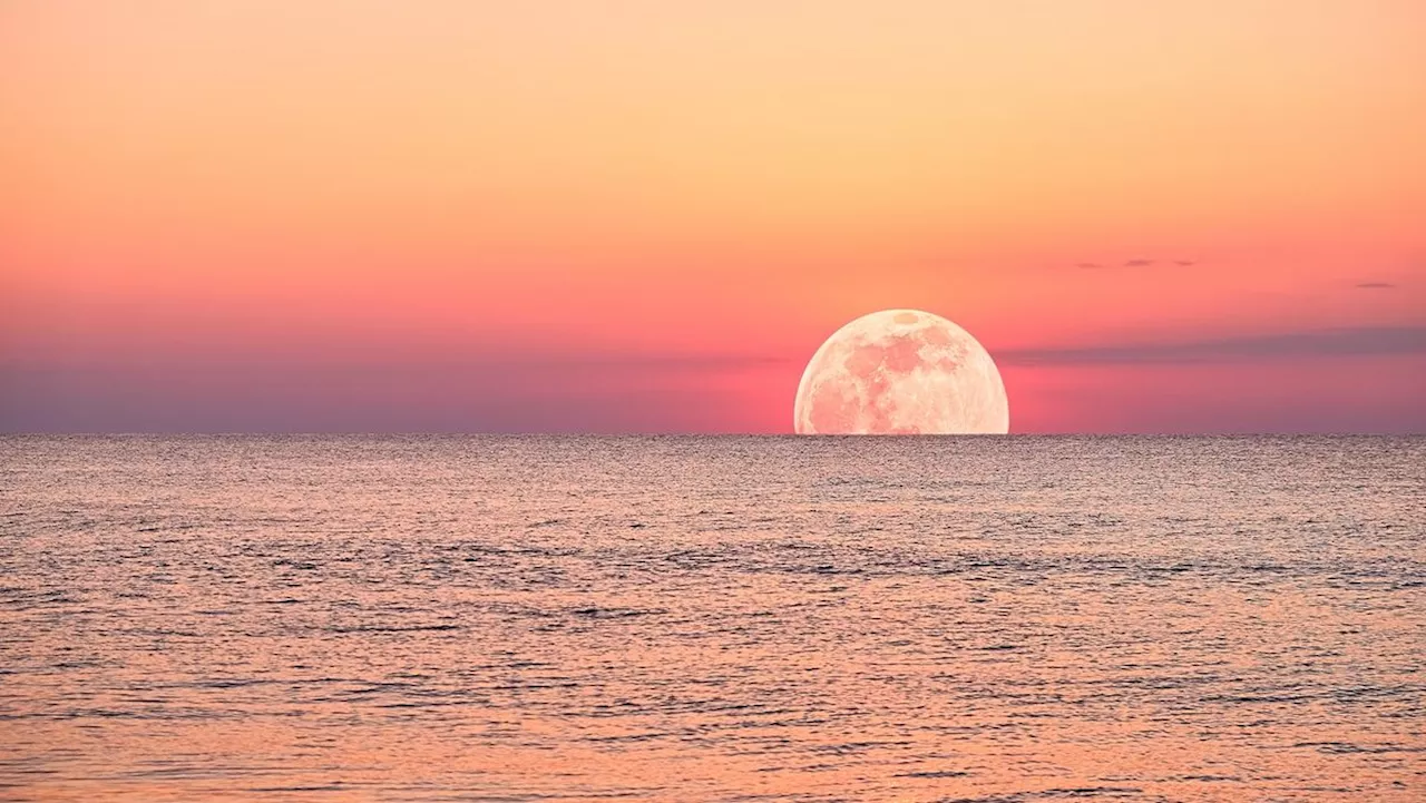 Strawberry Moon 2024: See summer's first full moon rise a day after solstice