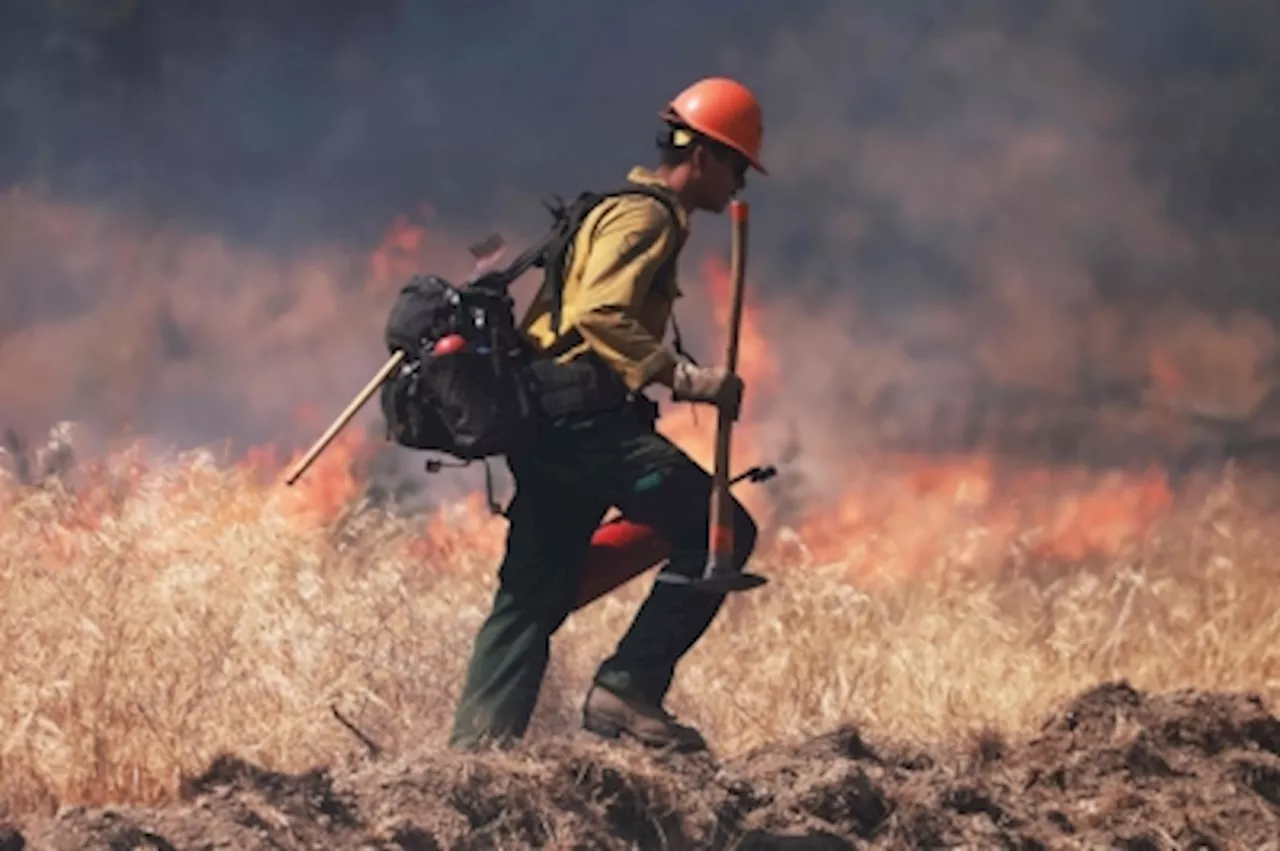 California wildfire burns 12,000 acres, forces evacuations