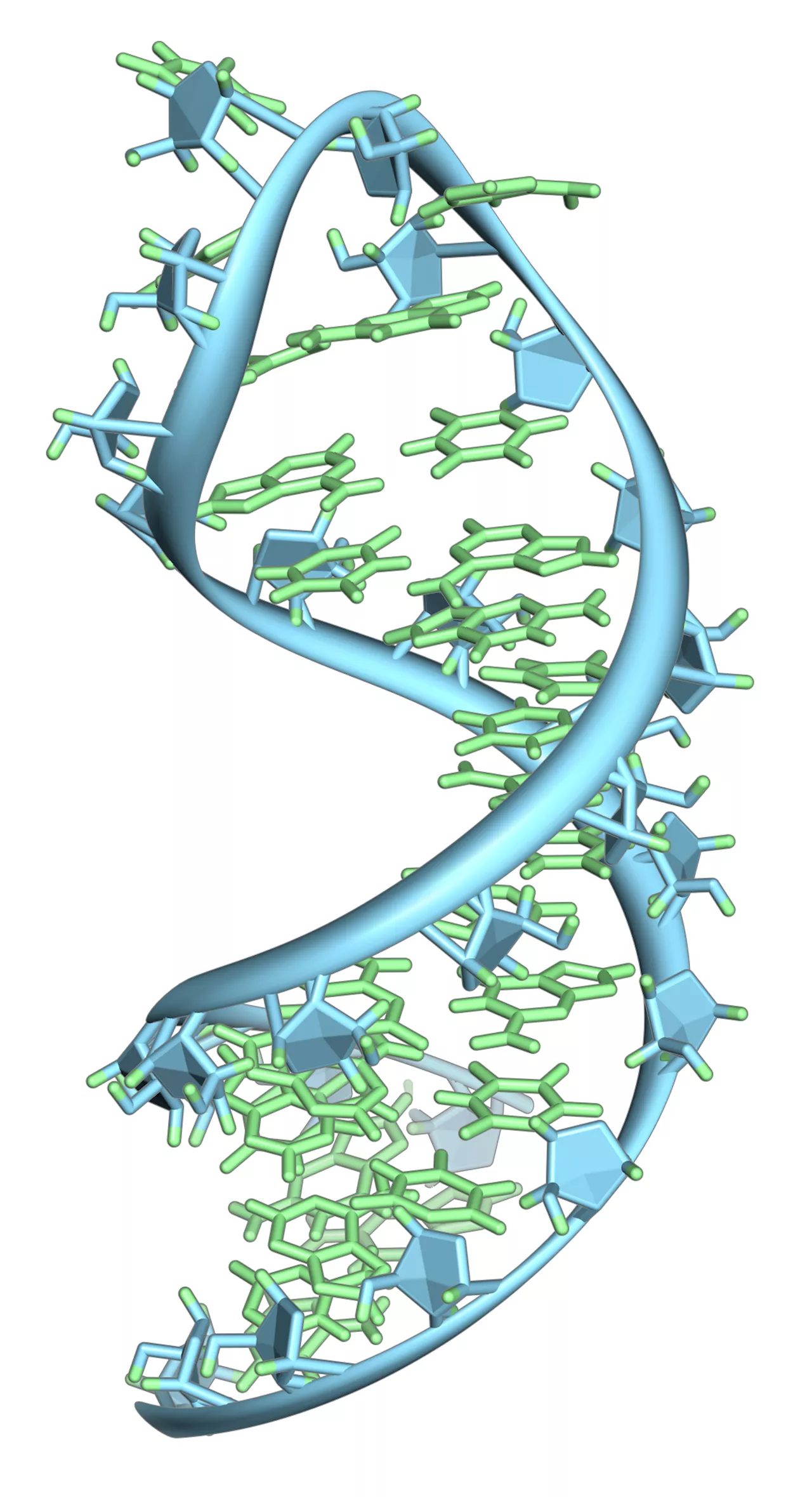 Researchers discover potential mole reversal therapy in rare condition