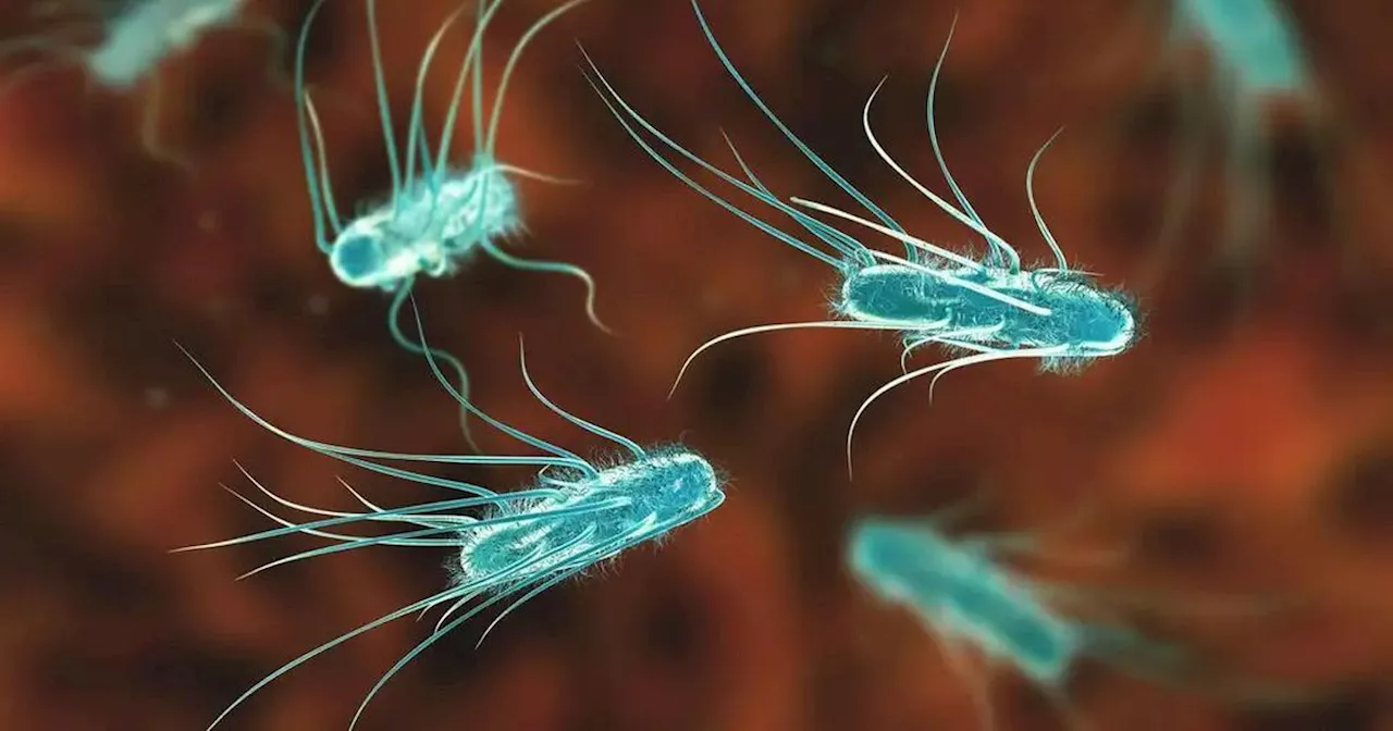 E.coli outbreak latest as 200 cases confirmed and new food brand affected