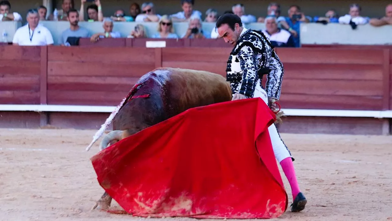 Bilan de la Feria d’Istres : le pari de Bernard Marsella pleinement réussi